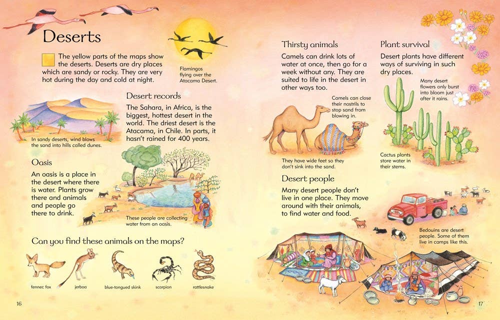 HarperCollins - Children's Picture Atlas: Usborne