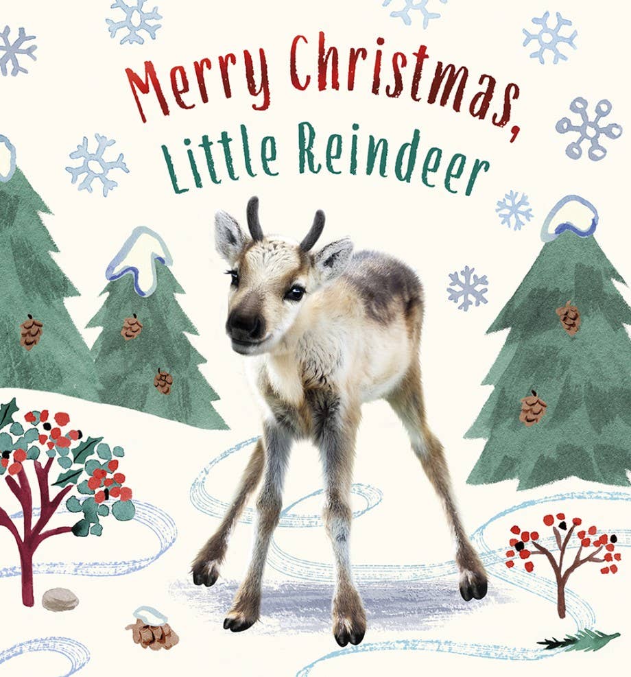Abrams - Merry Christmas, Little Reindeer
