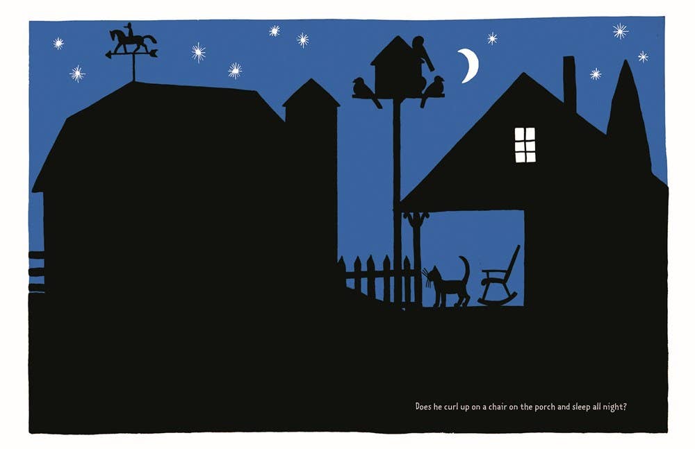 W. W. Norton - The Cat at Night