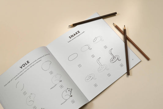 Paige Tate & Co. - Mushrooms & Woodland Creatures: Kids How to Draw Book