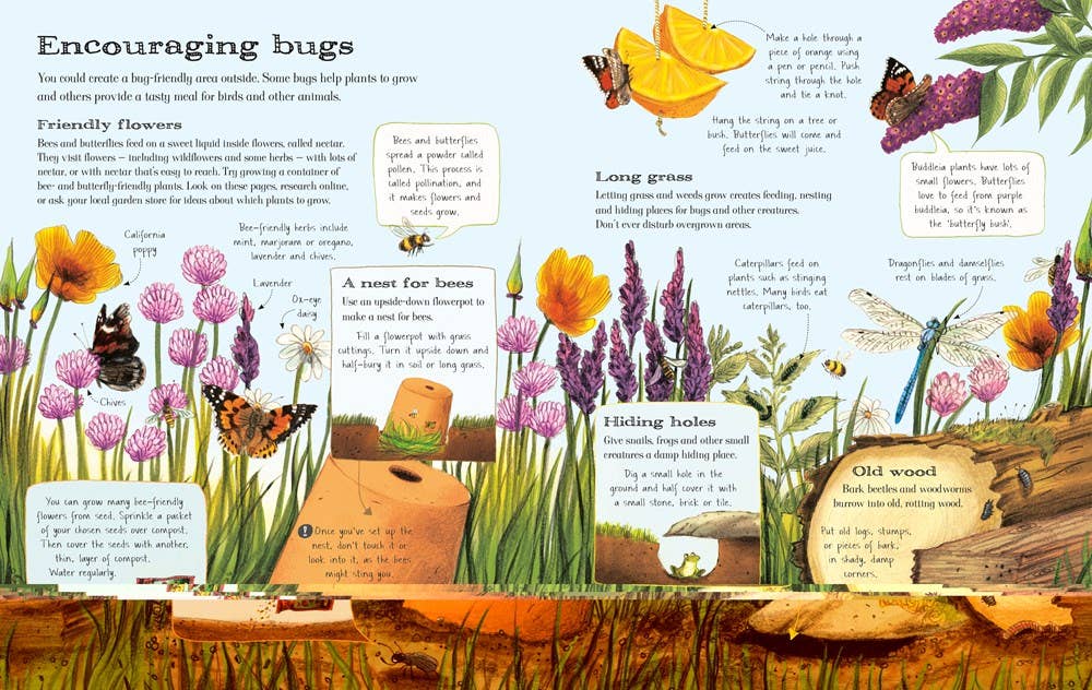 Usborne Outdoor Book : Emily Bone