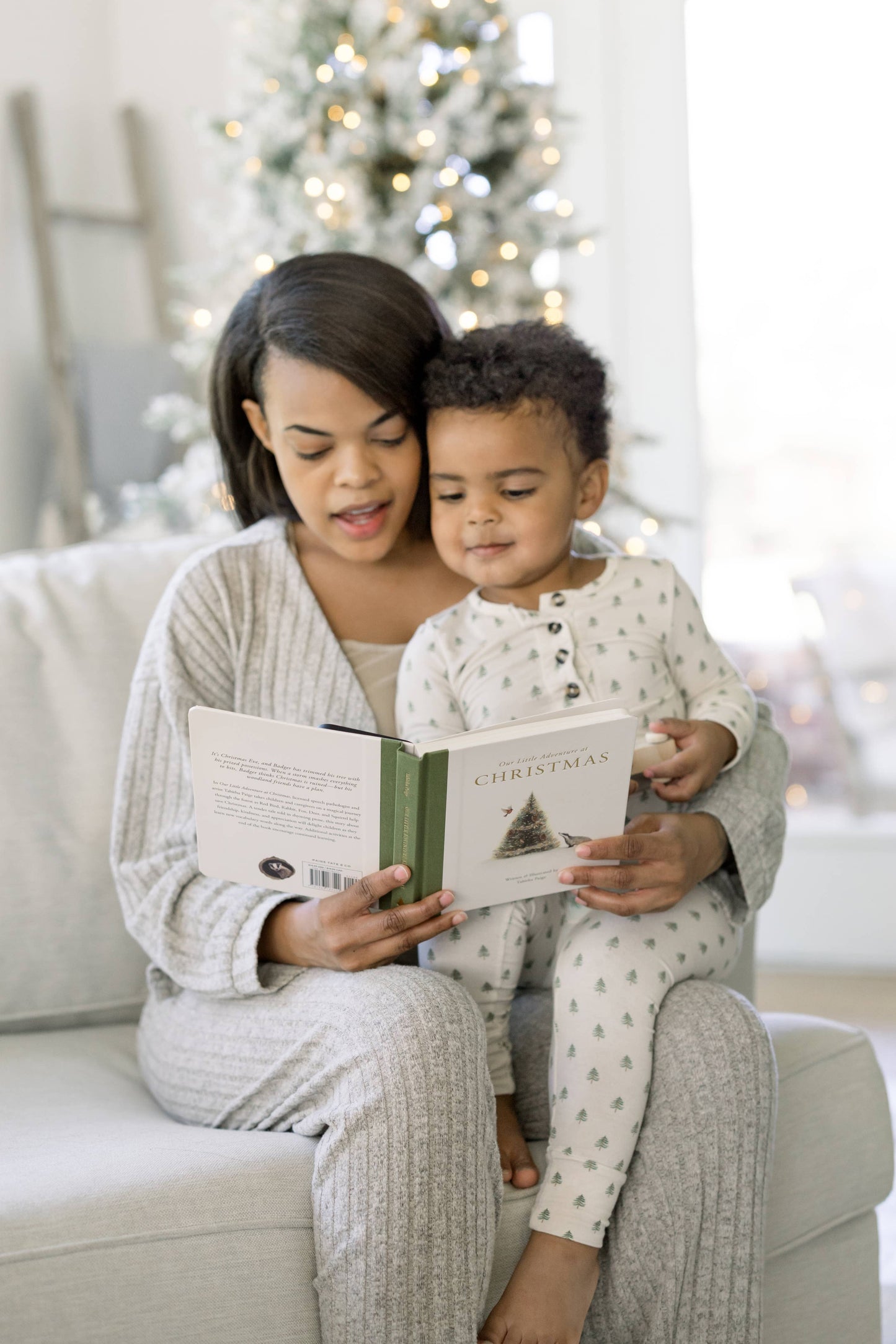 Paige Tate & Co. - Our Little Adventure at Christmas (Baby's first Christmas)