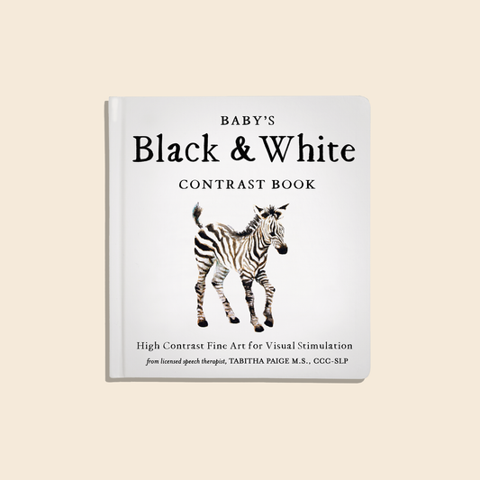 Paige Tate & Co. - Black and White Contrast Book for Baby