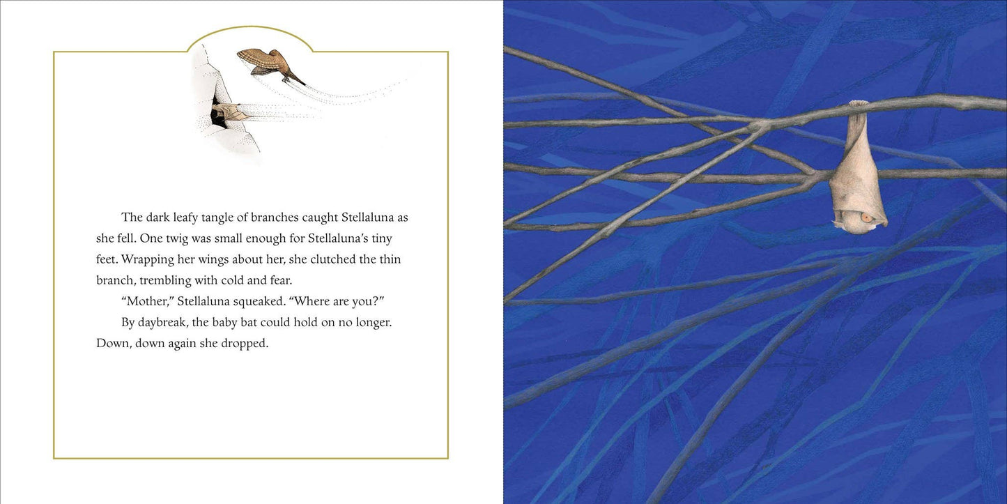 Stellaluna 25th Anniversary Edition: Janell Cannon