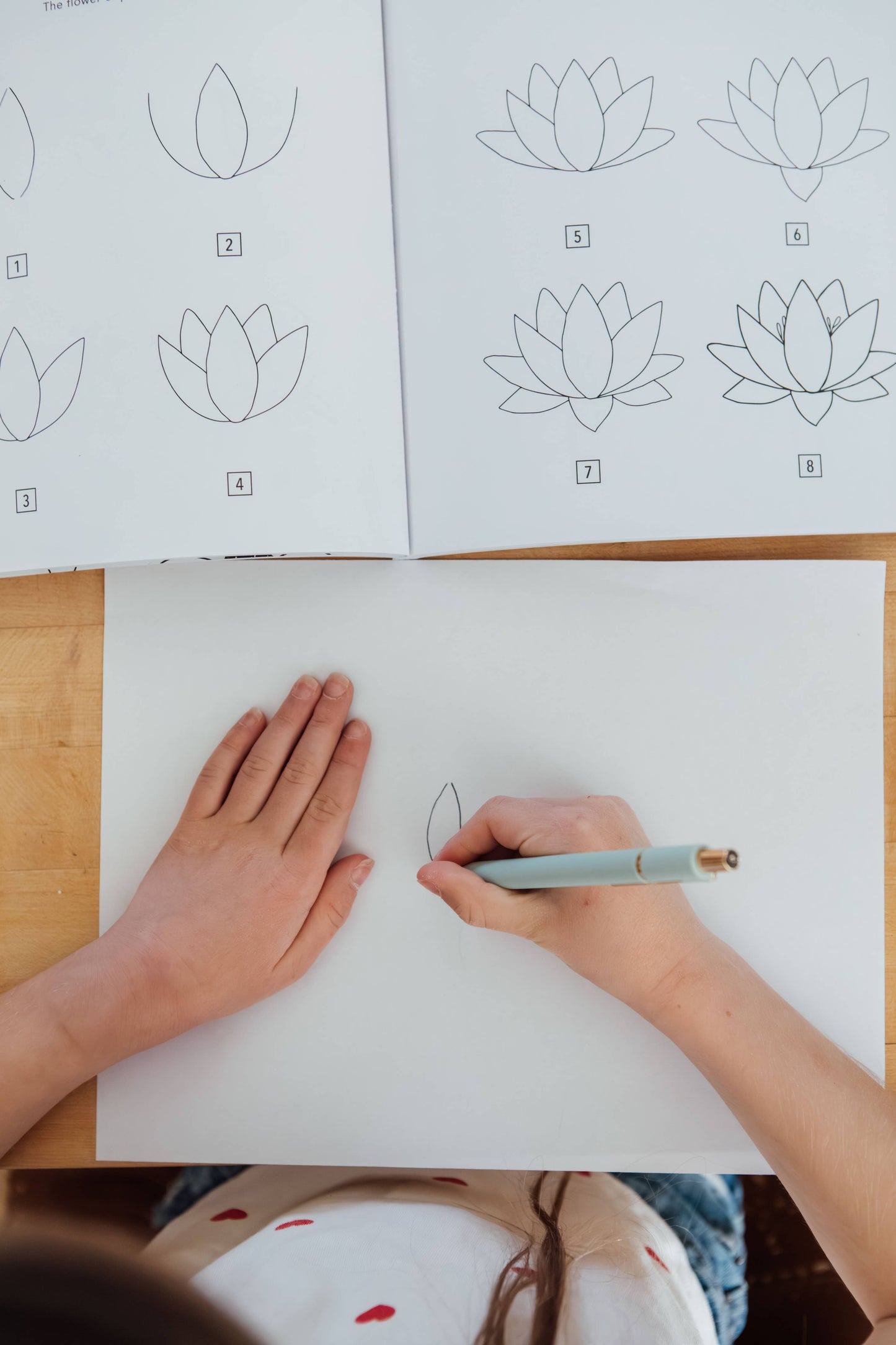Paige Tate & Co. - Modern Flowers: A How to Draw Book for Kids