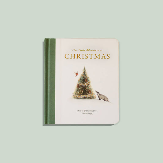 Paige Tate & Co. - Our Little Adventure at Christmas (Baby's first Christmas)