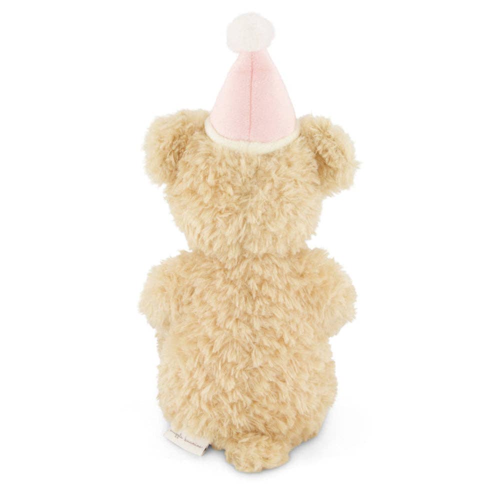Snuggle Bunnies - Birthday Teddy Bear Plush - Arthur with Hat (14")