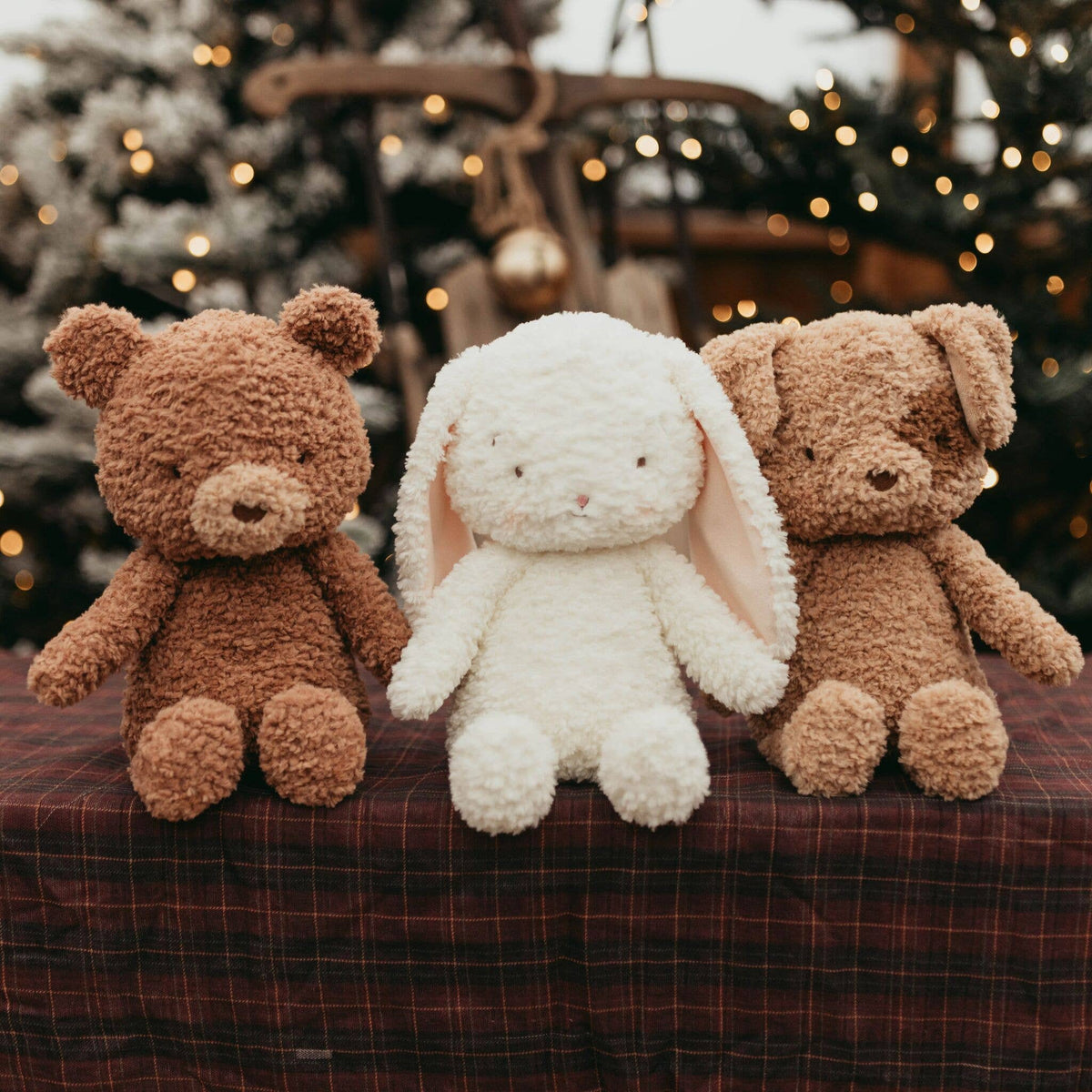 Bunnies By the Bay - Brownie The Bear