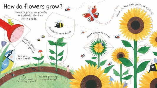 HarperCollins - First Questions and Answers: How do flowers grow?