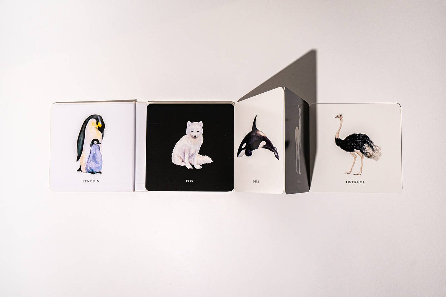 Paige Tate & Co. - Black and White Contrast Book for Baby