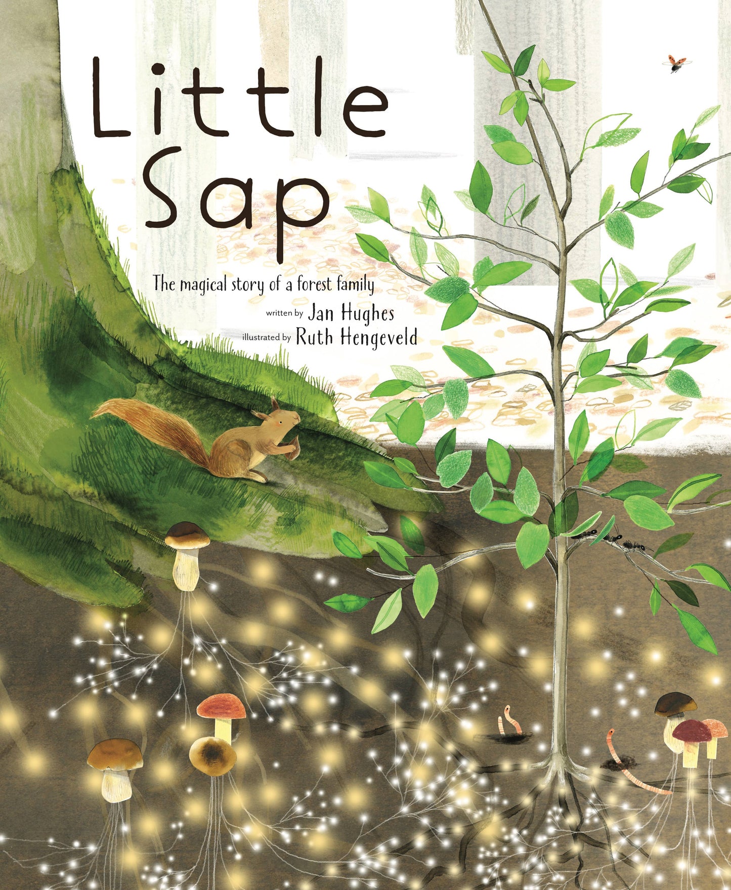 Abrams - Little Sap: The Magical Story of a Forest Family