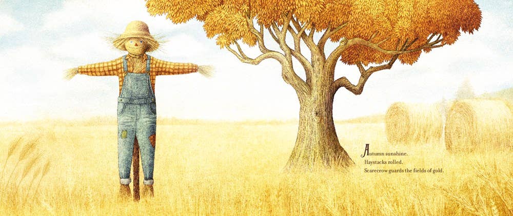 HarperCollins - Scarecrow, The : Beth Ferry