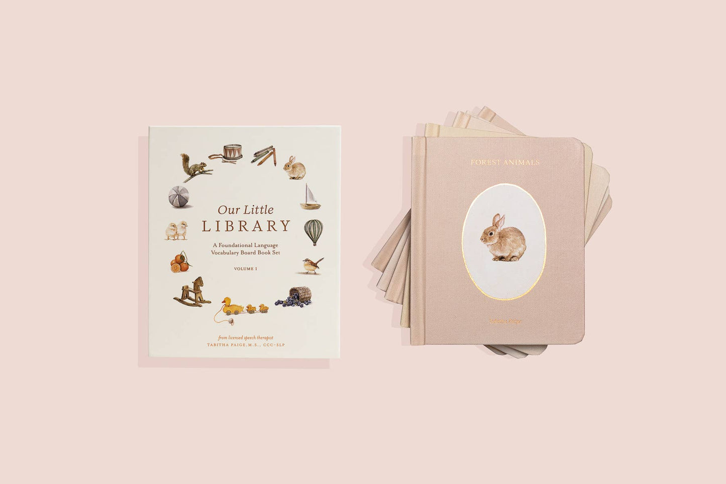 Paige Tate & Co. - Our Little Library Vol. 1 (5 Board Book Box Set)