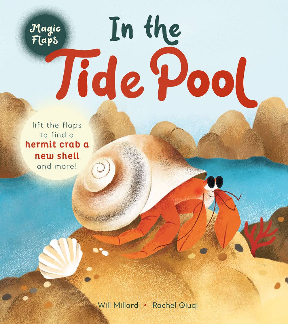 Abrams - In the Tide Pool: A Magic Flaps Book
