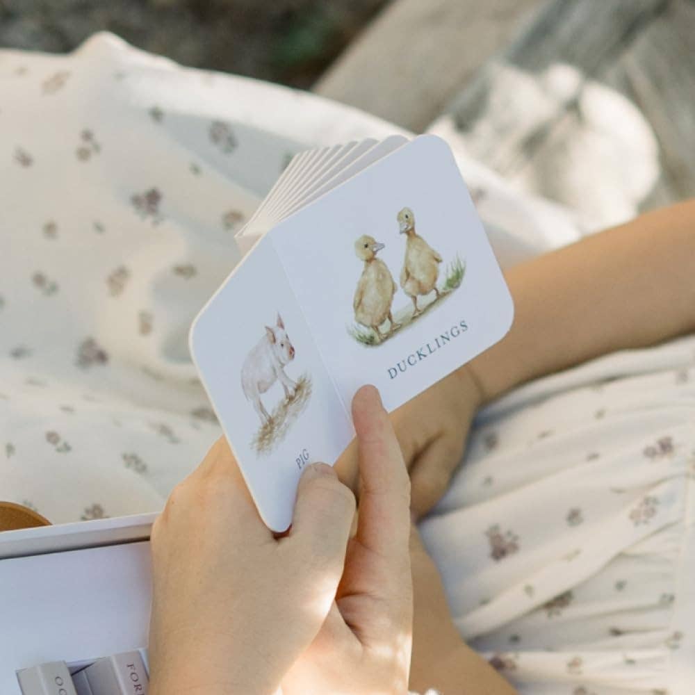 Paige Tate & Co. - Our Very Little Library Board Book Set