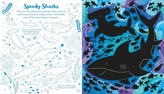 Usborne Scratch Activities Under the Sea