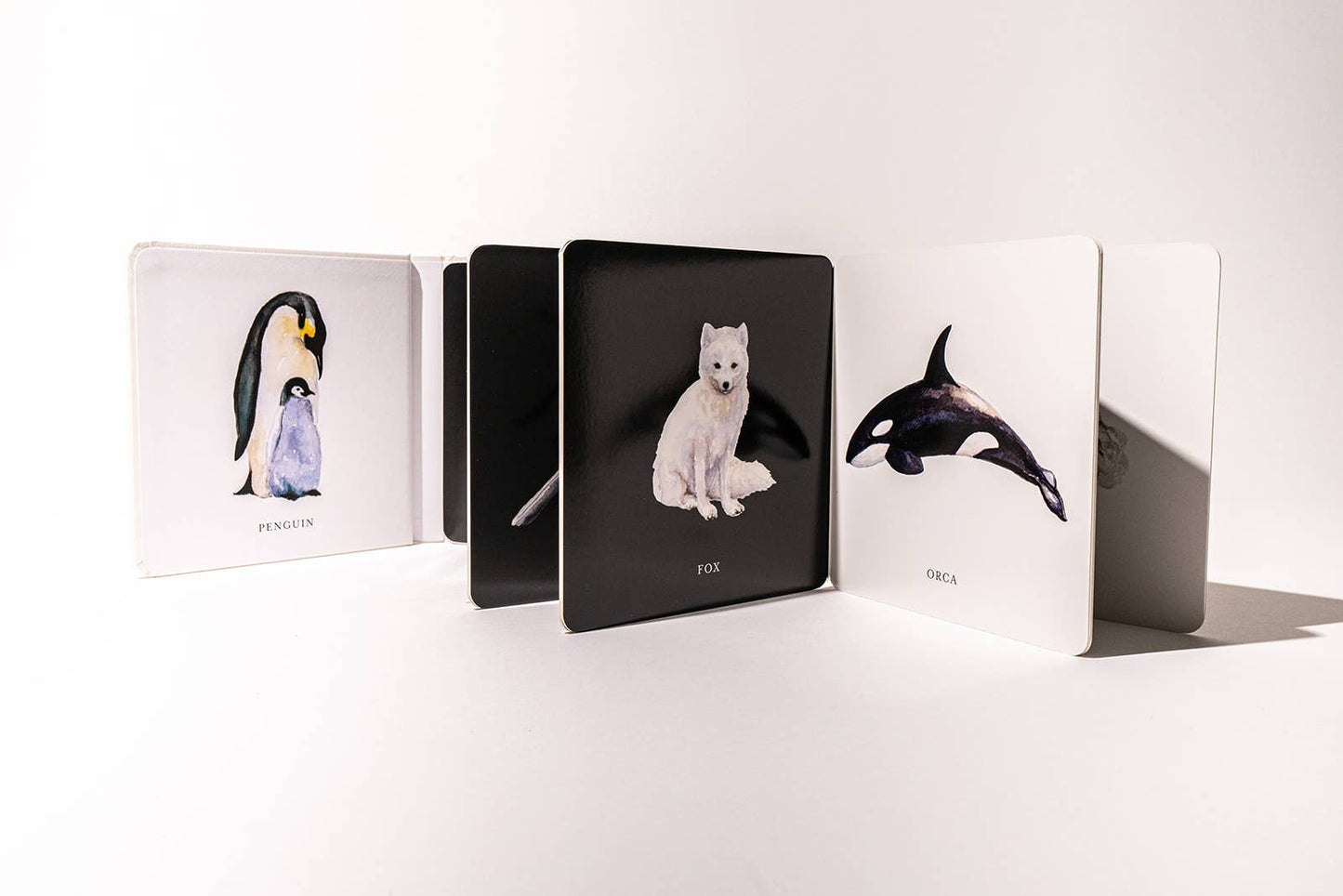 Paige Tate & Co. - Black and White Contrast Book for Baby