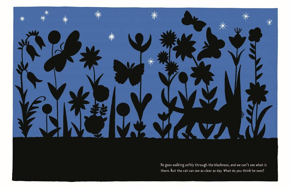 W. W. Norton - The Cat at Night