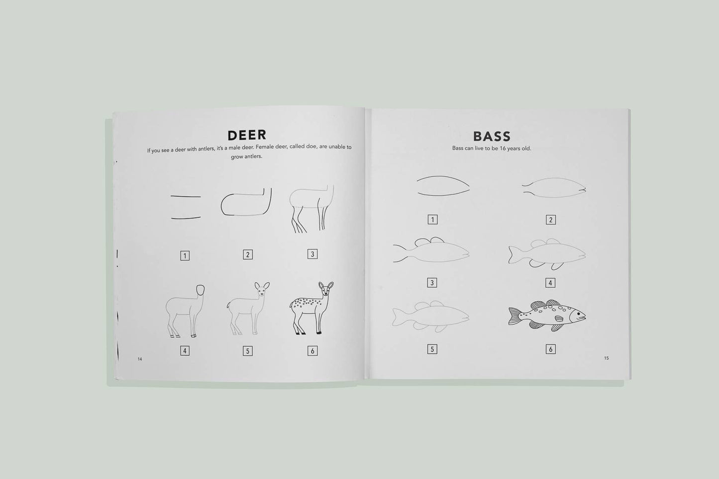 Paige Tate & Co. - Mushrooms & Woodland Creatures: Kids How to Draw Book