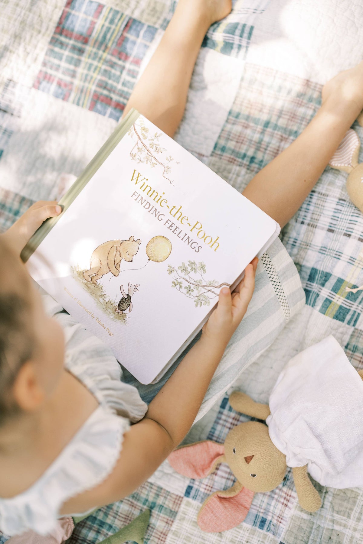 Paige Tate & Co. - Winnie-the-Pooh: Finding Feelings