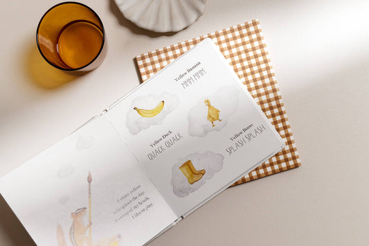 Paige Tate & Co. - Wishy Washy: A Board Book of First Words and Colors
